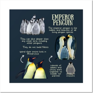 Animal Facts - Emperor Penguin Posters and Art